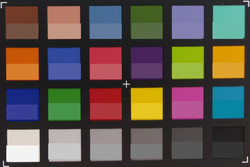 Screenshot of ColorChecker colors. The original colors are displayed in the lower half of each patch.