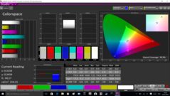 CalMAN Colorspace (target color space sRGB)