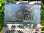 Outdoors Outdoors