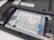 WD Scorpio Blue with 650 GB and 5400 rpm.