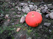 Overcast, rear VGA distant