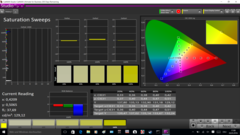 CalMAN Saturation Sweeps calibrated (target color space sRGB)