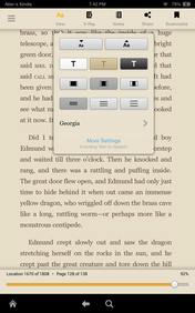 the Kindle's simple eReader and support for eBooks are still its key features