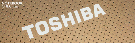 Toshiba NB520-108 brown: Dual-core netbook with subwoofer acoustics.