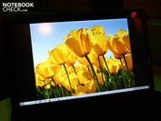 Strong colors and a high contrast can already Strong colors and a high contrast can already