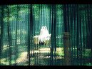 The effect is noticeable even in the background. The effect is noticeable even in the background.