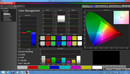 Color Management (pre-calibration, target color space sRGB)