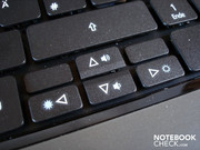 The very narrow in height arrow keys are typical for Acer.