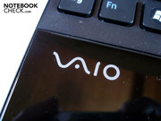 The Vaio logo on the extremely sensitive and smudge susceptible wrist-rest. It's covered by dust and fingerprints within the shortest time.