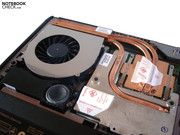 The graphics card is covered by a sophisticated cooling construction.