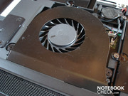 The fans are responsible for an unbelievably loud noise level under load The fans are responsible for an unbelievably loud noise level under load