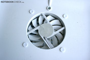 With an 8cm diameter, it is relatively small. With an 8cm diameter, it is relatively small.