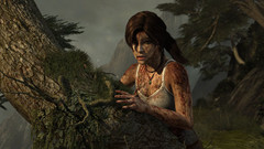 As we travel onward Lara takes a bit of a beating. As we travel onward Lara takes a bit of a beating.