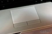 The touchpad reaped a good amount of critic primarly due to the stiff touchpad keys.