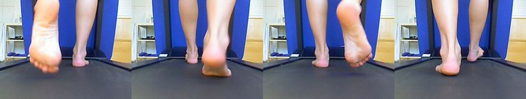 Philips Webcam Pro SPC2050NC