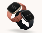Fitbit's latest smartwatches have received new features with Fitbit OS 5.1. (Image source: Fitbit)