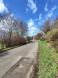 Photo with the ultra-wide-angle lens