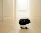 Enabot has released the EBO Air family companion robot. (Image source: Enabot)