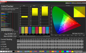 CalMAN color accuracy sRGB
