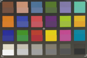 Photograph of ColorChecker colors. The target color is in the lower half of each patch.
