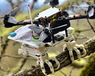 First SNAG drone that can perch on trees like a bird has 3D-printed falcon legs