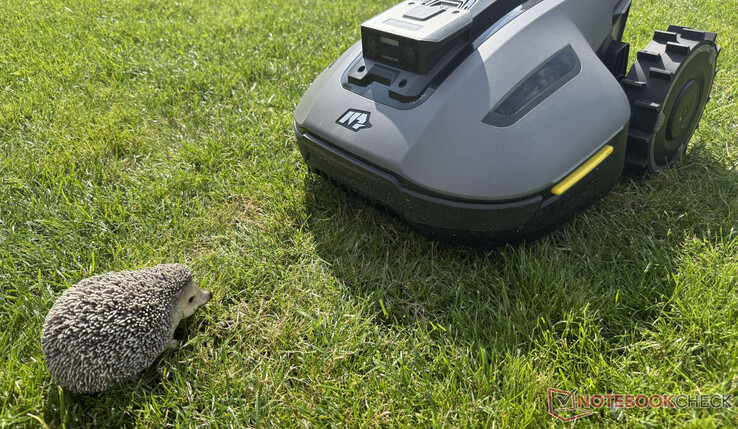 The Mammotion Yuka Mini 800 reliably detected our hedgehog dummy in the test