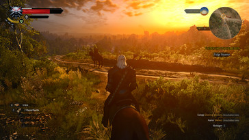 There are no problems playing The Witcher 3...