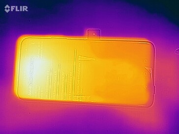 Thermal image (front)