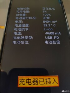 Battery info (Source: Weibo)