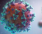 Some people may suffer from long-term symptoms, even after defeating the deadly coronavirus (Image: Fusion Medical Animation)