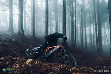 Image source: Frey Bike via Electrek