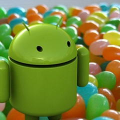 Asus to be one of the first to adopt Jelly Bean Asus to be one of the first to adopt Jelly Bean