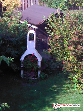 Picture with 2.8x zoom