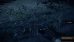 Battlefield 2: Only just smooth in the medium setting, but not in WXGA++