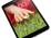 LG G Pad 8.3 arrived in the United States LG G Pad 8.3 arrived in the United States