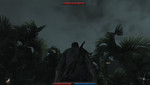 Risen: Only smoothly playable in low details