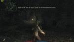 Risen: 44 FPS nur in Details Mittel 1024 x 768