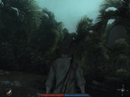 Risen Medium 32 fps (1024x768)