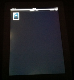 Reports of iPad 2 display defects surface Reports of iPad 2 display defects surface