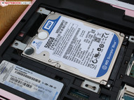 Western Digital WD5000BPVT-55HXZT3, 500GB 5400U/Min