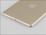 Gold iPad Mini with Touch ID spotted in the wild