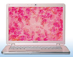 Sony Vaio VGN-CR290EAP Sony Vaio VGN-CR290EAP