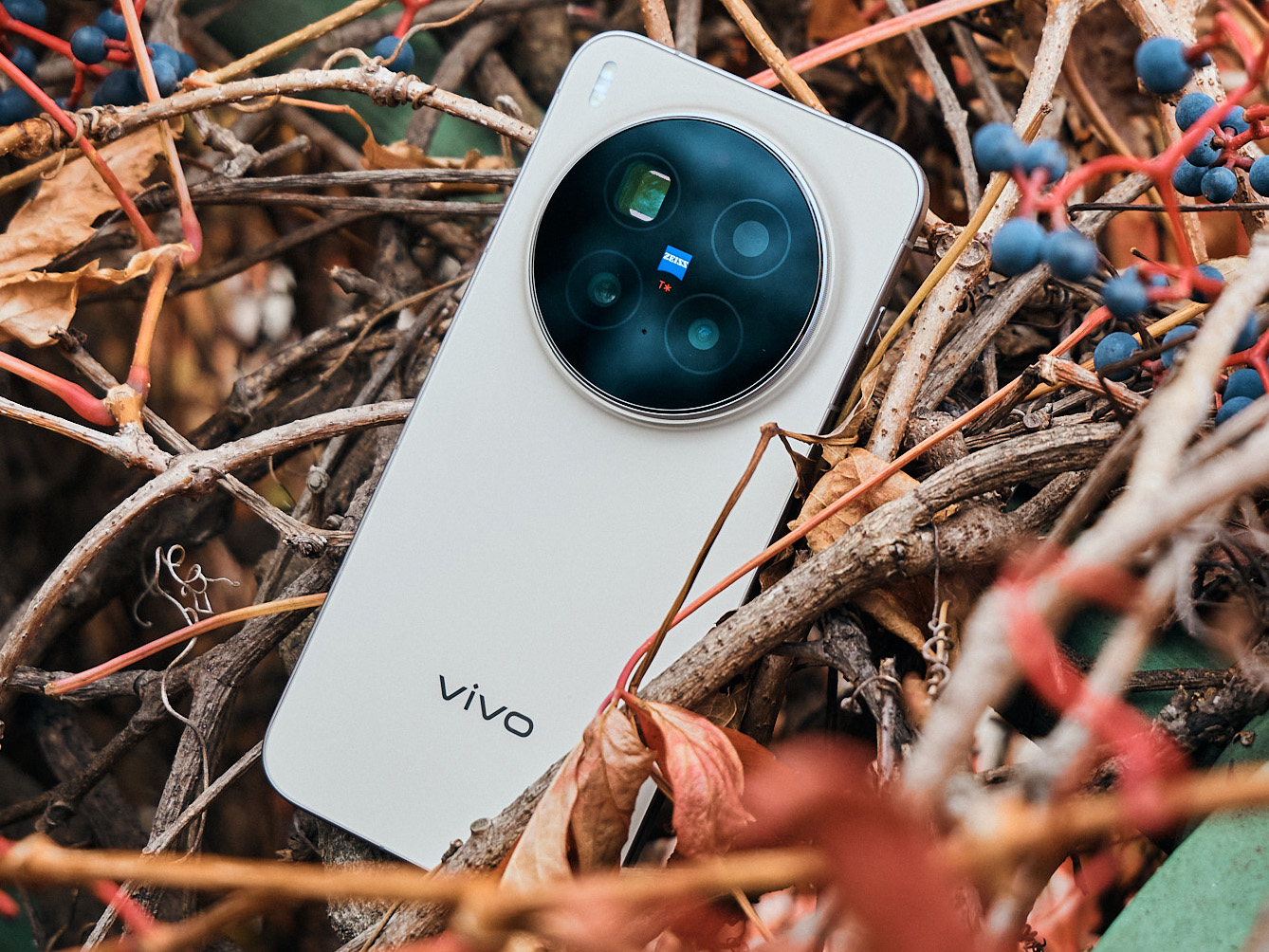Vivo X300 Pro - Notebookcheck-tr.com