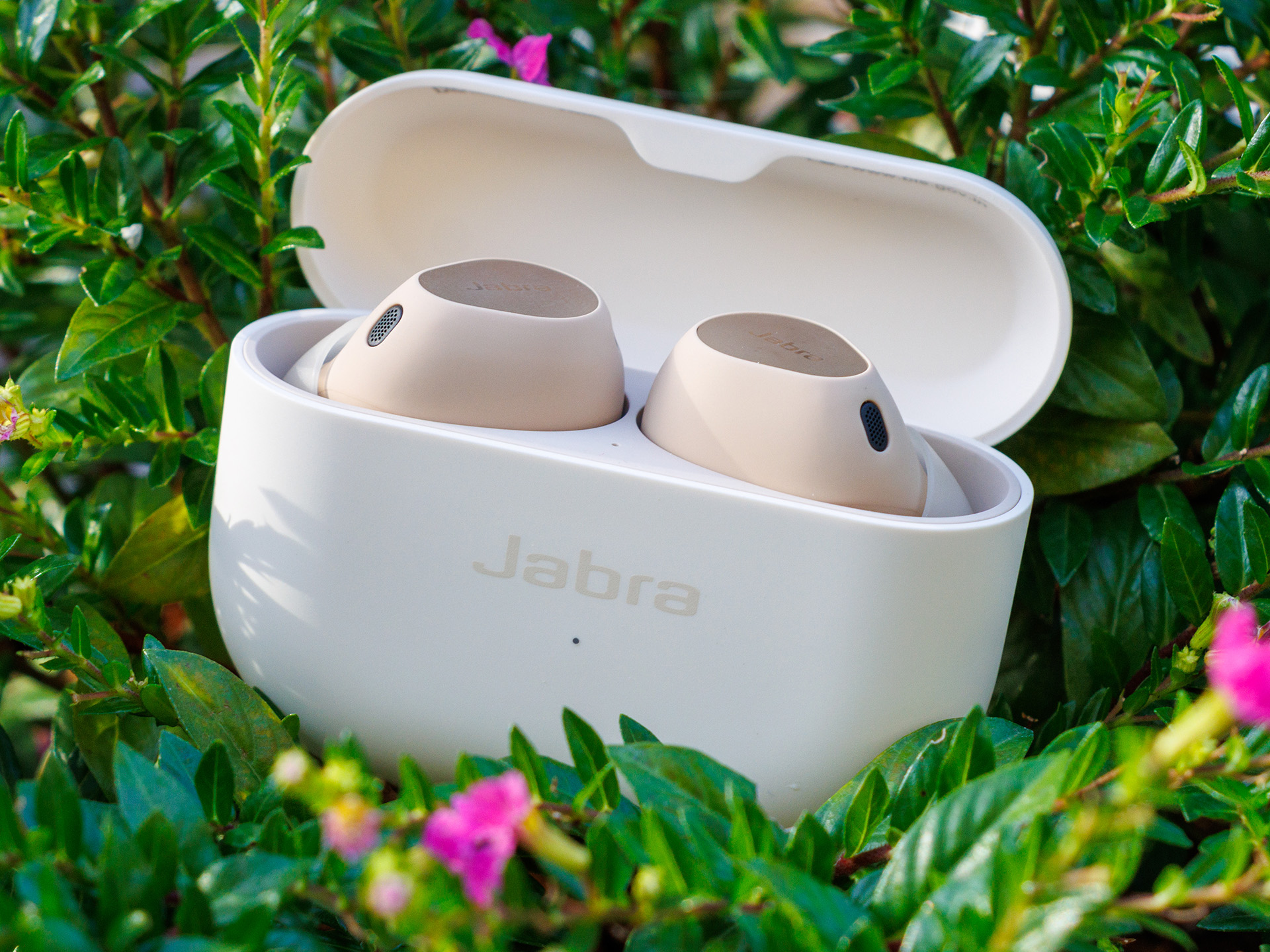 Jabra elite top windows 10