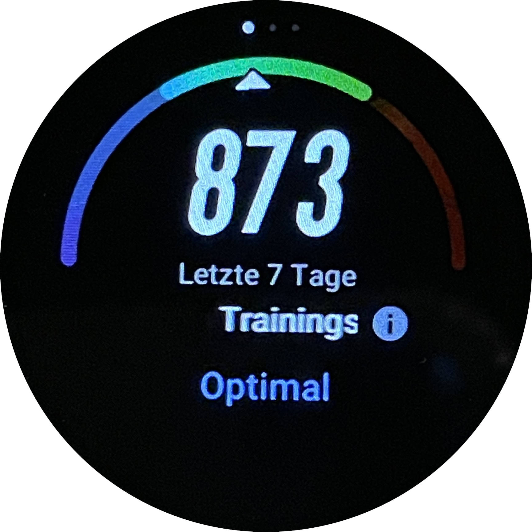 amazfit t rex functions