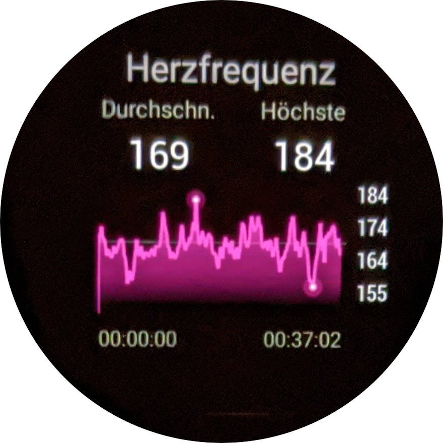 zepp mi scale 2