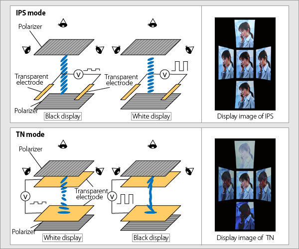 Comparison of liquid crystal arrangement between IPS and TN panels. (Source: J-Display)