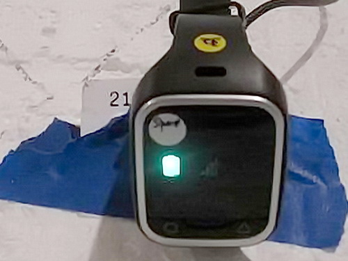 lg fitness watch