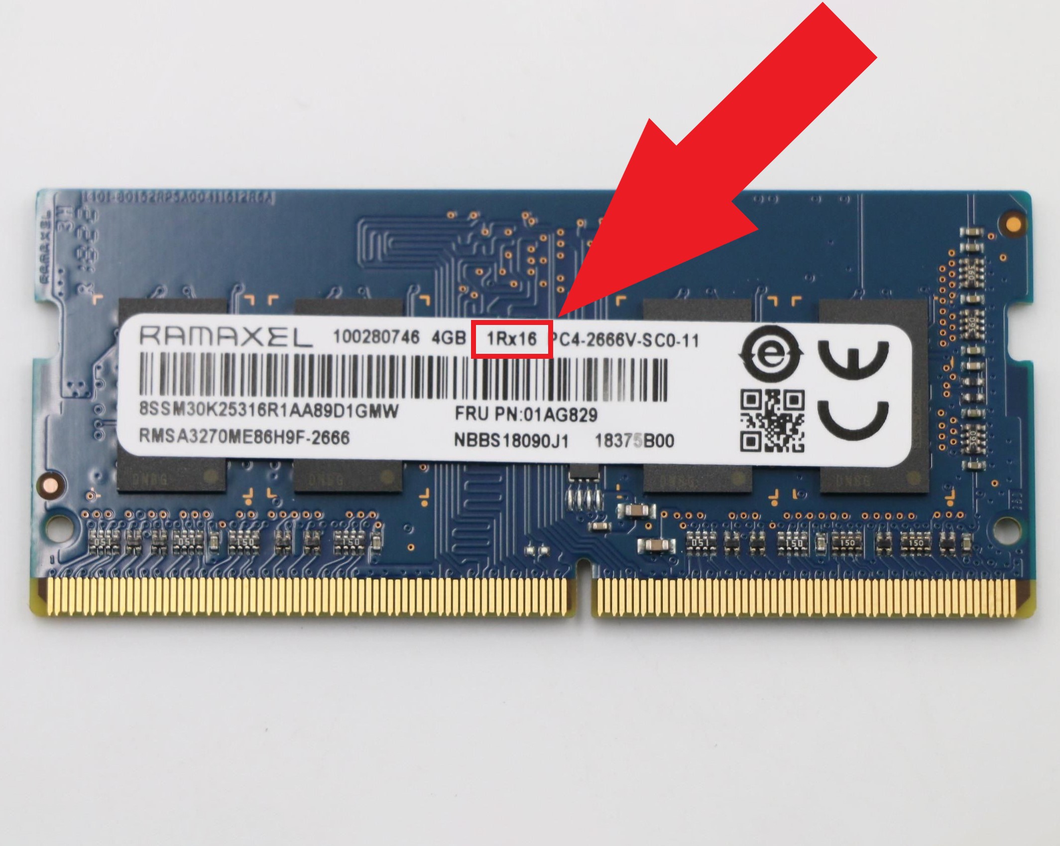 Excel appetit nikotin Beware of the single rank x16 RAM kits sneaked in some laptop models! The  1Rx16 modules have significantly lower bandwidth compared to the 1Rx8  variants - NotebookCheck.net News