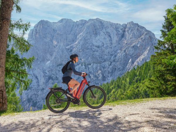 Gazelle mountainbike 26 inch deals